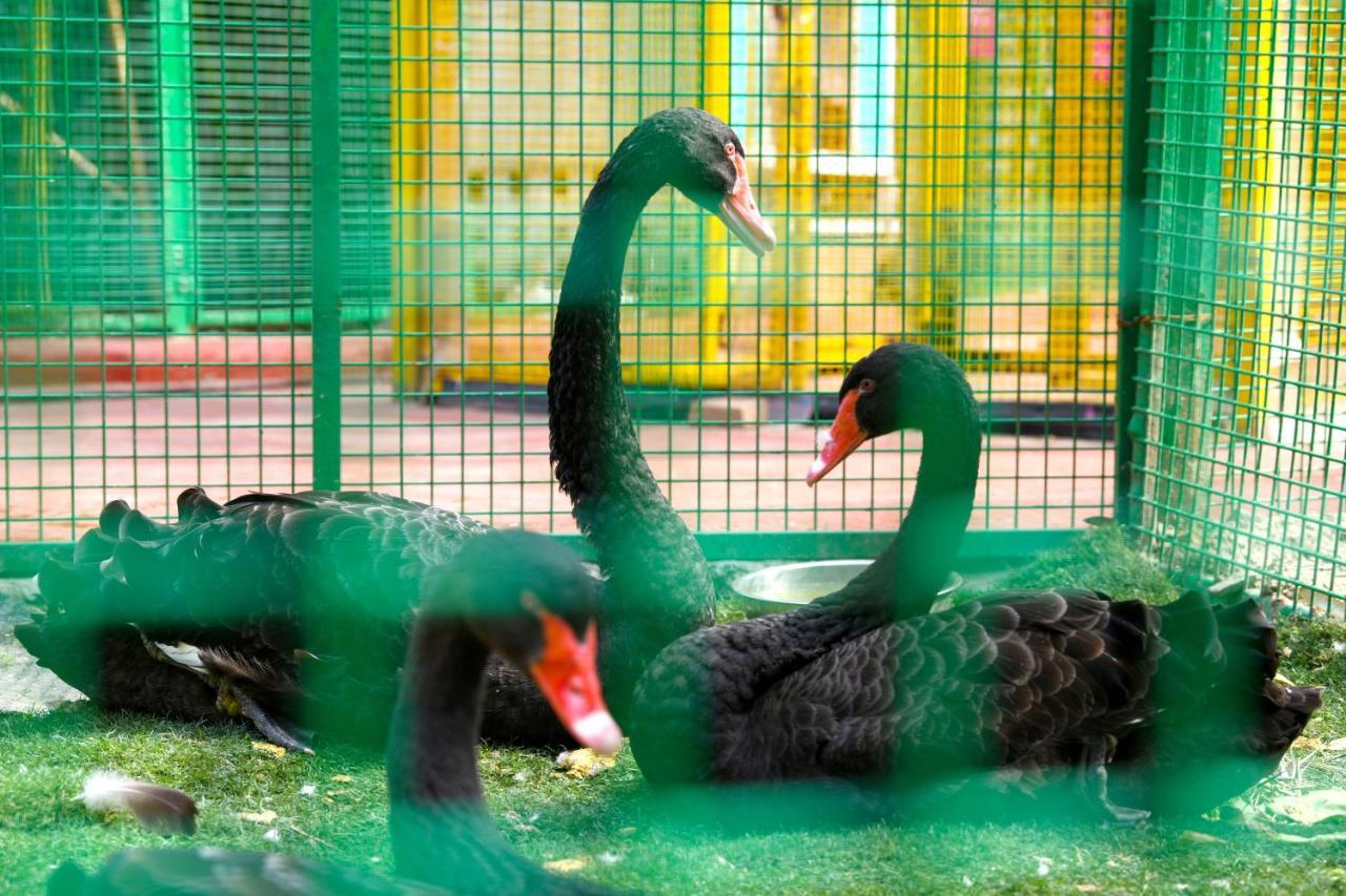 ホテル クラウン プラザ シャンハイ シアヤン レイク Qingpu エクステリア 写真
